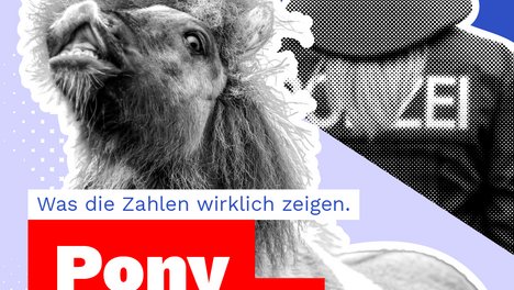 Polizeiverletzungen_Slide_1