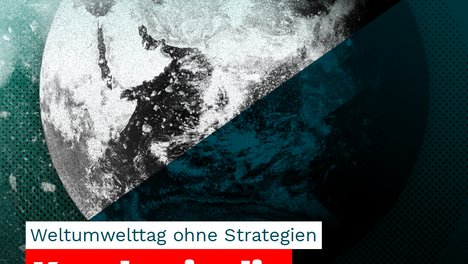 Weltumwelttag